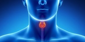 Image of inflamed thyroid